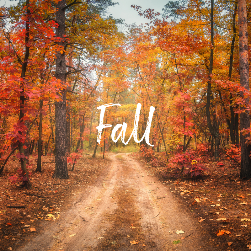 Fall
