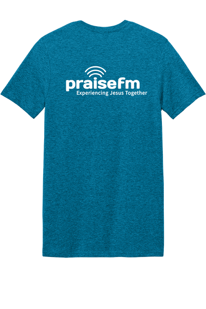 Antique Sapphire-Back